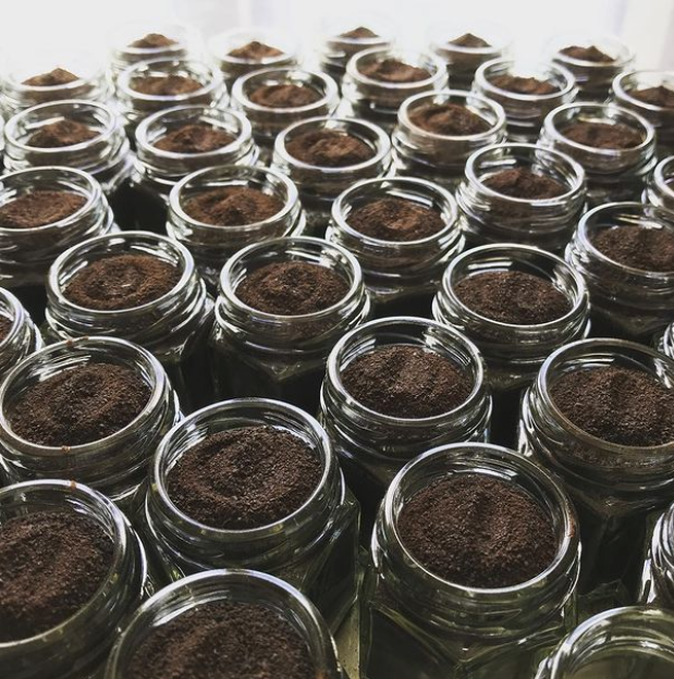 Black Garlic Dust - Small